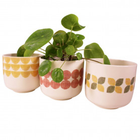 Cache-pot en céramique à motifs colorés - Grossiste fleuristes jardineries