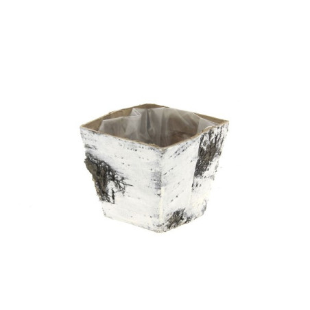 Cache-pot carré en bois écorce de bouleau - Grossiste fleuriste