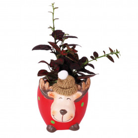 Cache-pot renne à bonnet - Grossiste jardinerie et fleuristes