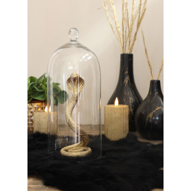 Cloche en verre avec bouton - Dome de verre - Grossiste verrerie