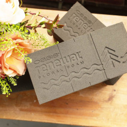 Carton de 12 briques de mousse OASIS® Renewal - Grossiste fleuristes