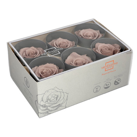 Boite de 6 têtes de rose éternelle standard plusieurs couleurs