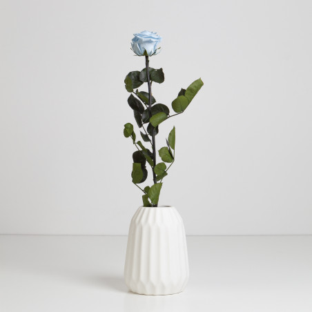 Rose éternelle tigée Amorosa 53cm plusieurs couleurs