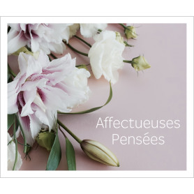 Sachet de 12 cartes deuil - Affection - grossiste carterie