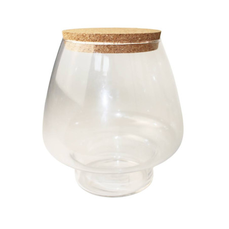 Terrarium avec bouchon de liège - Destin - Grossiste verrerie