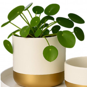 Cache-pot en céramique 3 tailles - Magico - Grossiste contenants