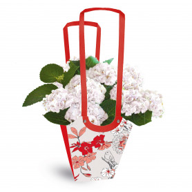 Paquet de 10 sacs aqua médium 3 modèles - Birdy - Grossiste fleuriste