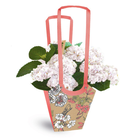 Paquet de 10 sacs aqua médium 3 modèles - Birdy - Grossiste fleuriste