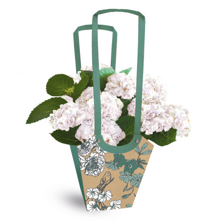 Paquet de 10 sacs aqua médium 3 modèles - Birdy - Grossiste fleuriste