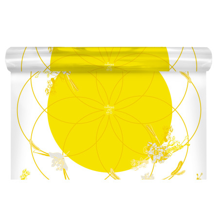 Rouleau de polypro imprimé 40µ 0.80x40M - Honesty - Emballage - Grossiste