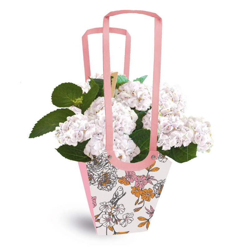 Paquet de 10 sacs aqua médium 3 modèles - Birdy - Grossiste fleuriste