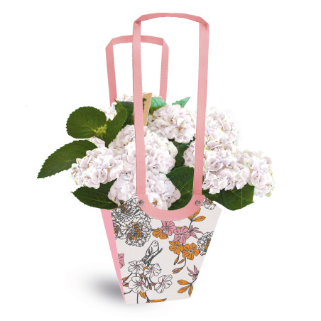 Paquet de 10 sacs aqua médium 3 modèles - Birdy - Grossiste fleuriste