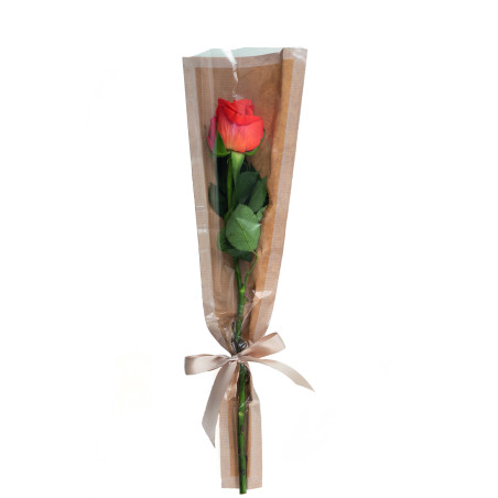 Paquet de 50 étuis à rose - Kelly - grossiste pour fleuristes