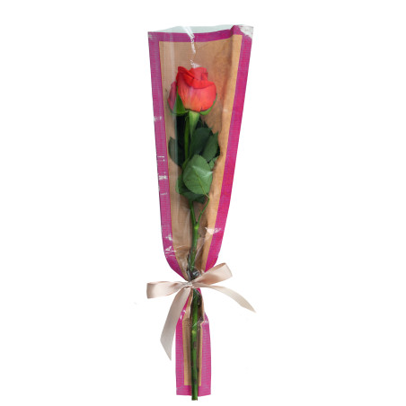Paquet de 50 étuis à rose - Kelly - grossiste pour fleuristes