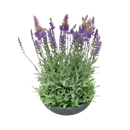 Lavande en pot - Fournisseur de plantes artificielles