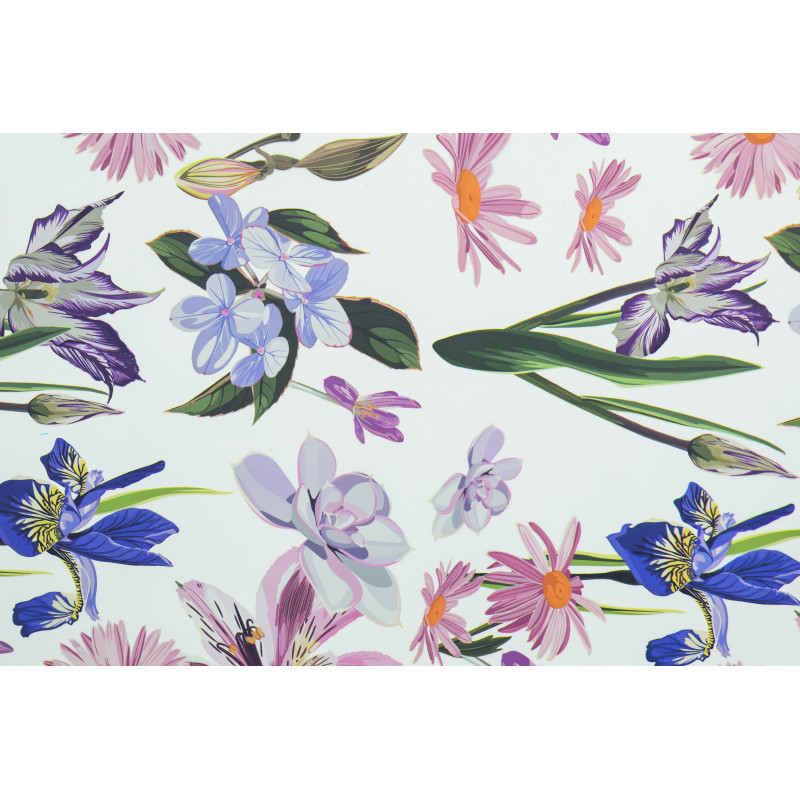 Cello transparent imprimé Iris - Grossiste pour fleuriste