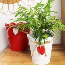 Cache-pot en zinc pampille - Grossiste coupe en zinc