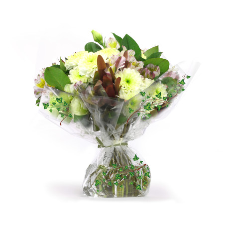 Rouleau de polypro imprimé 40µ - Ivy - Grossiste emballage