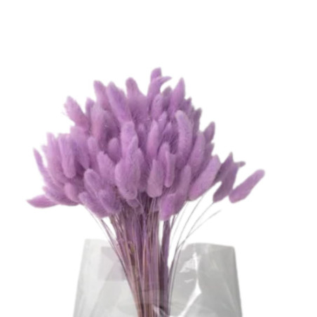 Bouquet de Lagurus 100gr plusieurs couleurs - Minet