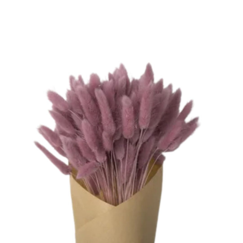 Bouquet de Lagurus 100gr plusieurs couleurs - Minet