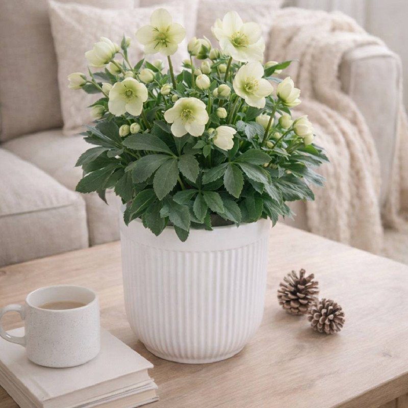 Cache-pot ligne verticale blanc plusieurs tailles - Stria