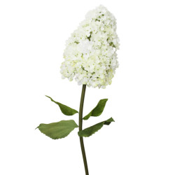 Hortensia géant blanc 2 tailles - Horti - Fournisseur déco évenementiel
