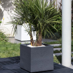 Pot carré gris anthracite 3 tailles - Graphit