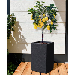 Pot carré haut gris anthracite - Graphit up