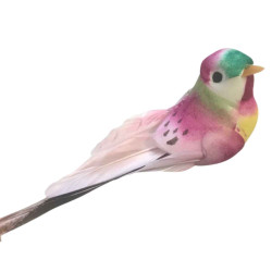 Paquet de 12 oiseaux sur pic - Furiosy