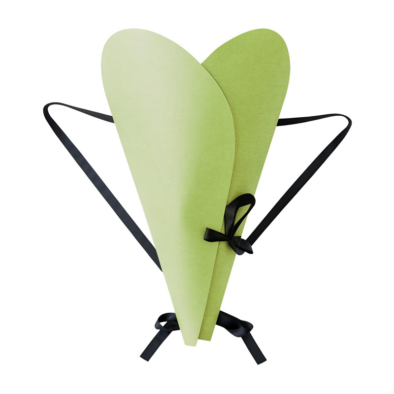 Paquet de 10 sacs bouquet - Nomad - Grossiste fleuriste