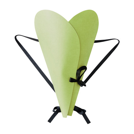Paquet de 10 sacs bouquet - Nomad - Grossiste fleuriste