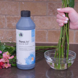 Floralife® Quick Dip 100 1L ou 5L