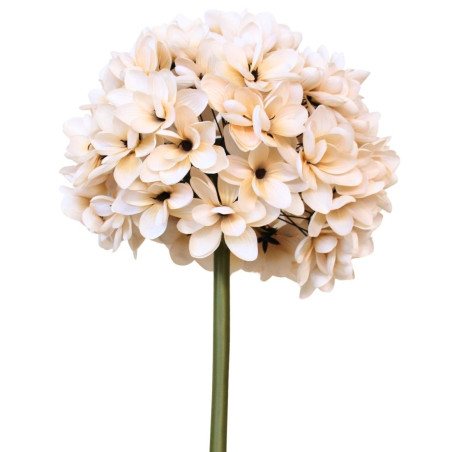 Magnolia crème géant 160cm - Sépia