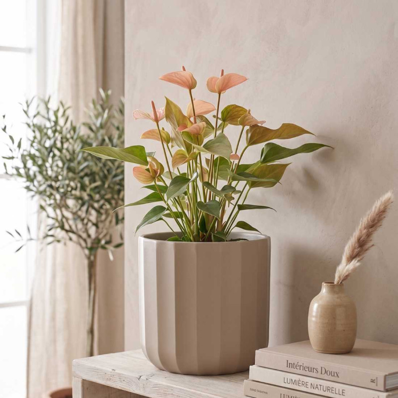 Cache-pot en céramique sable plusieurs tailles - Palladio