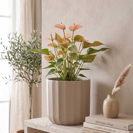 Cache-pot en céramique sable plusieurs tailles - Palladio