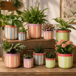Cache-pot citron 3 tailles - Barry