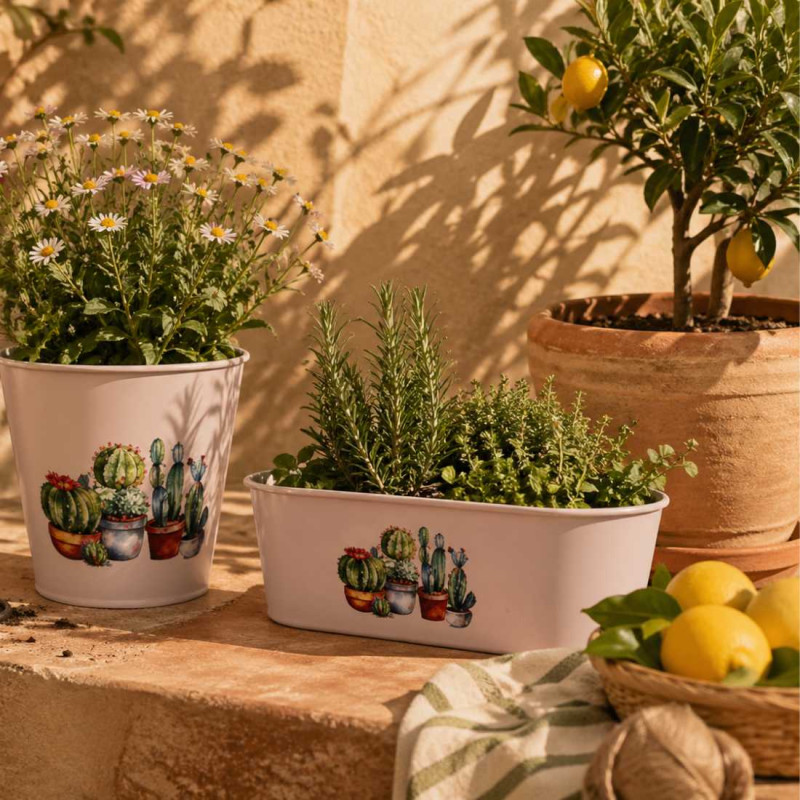 Jardinière en zinc décoré - Cactus