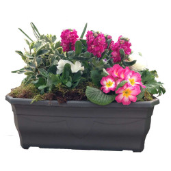 Jardinière 50x18 x H. 15cm noir - Millesia