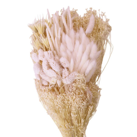 Bouquet de fleurs séchées - Varia - Grossiste bouquets secs