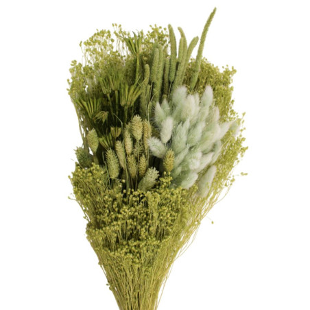 Bouquet de fleurs séchées - Varia - Grossiste bouquets secs