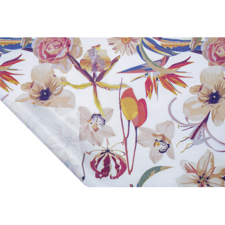 Rouleau de kraft pelliculé - Winterly - Grossiste en emballage professionnel
