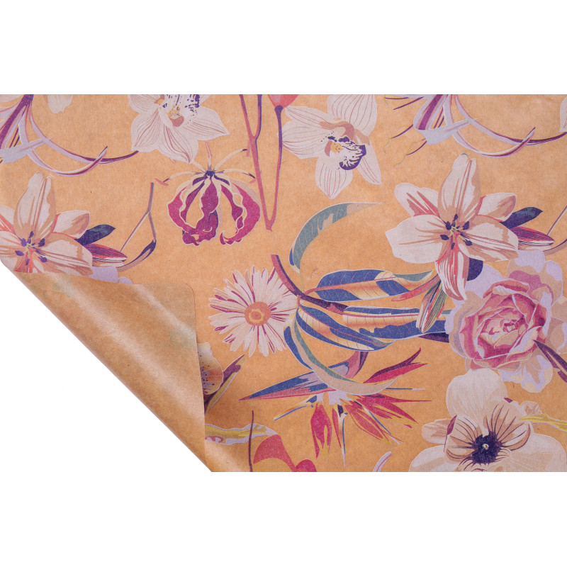 Rouleau de kraft pelliculé - Winterly - Grossiste en emballage professionnel