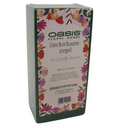Carton de 20 briques mouillables emballées 23x11x8 cm OASIS®