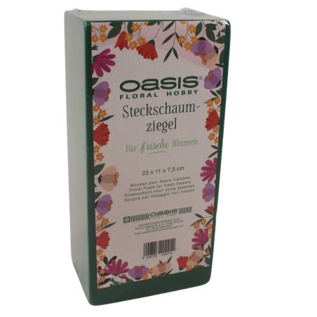 Carton de 20 briques mouillables emballées 23x11x8 cm OASIS®