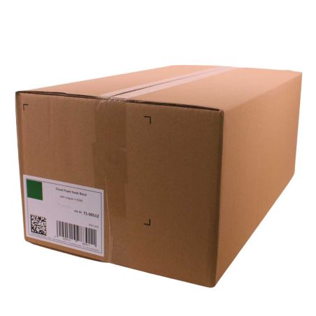Carton de 20 briques mouillables emballées 23x11x8 cm OASIS®