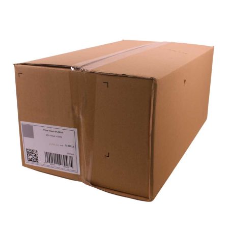 Carton de 20 Mousse sèche emballées OASIS®