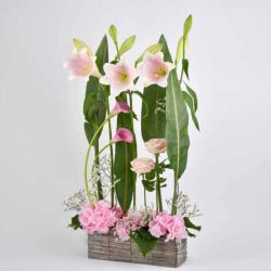Jardinière en osier - Pink Ladies