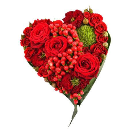 Paquet de 2 cœurs mousse florale OASIS® RAINBOW®