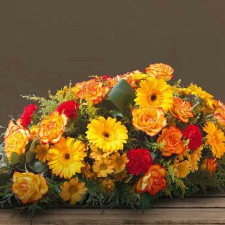 Paquet de 6 raquettes hydro 40cm OASIS® EYCHENNE® ALL BLACK