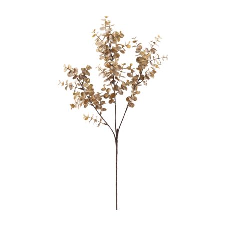 Tige d'eucalypthus (3 branches) 2 couleurs